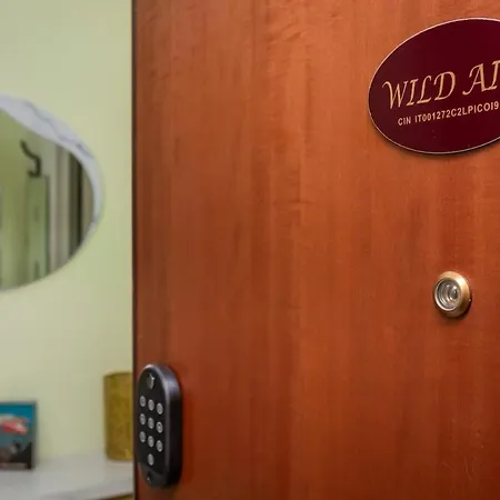 Wildair Torino